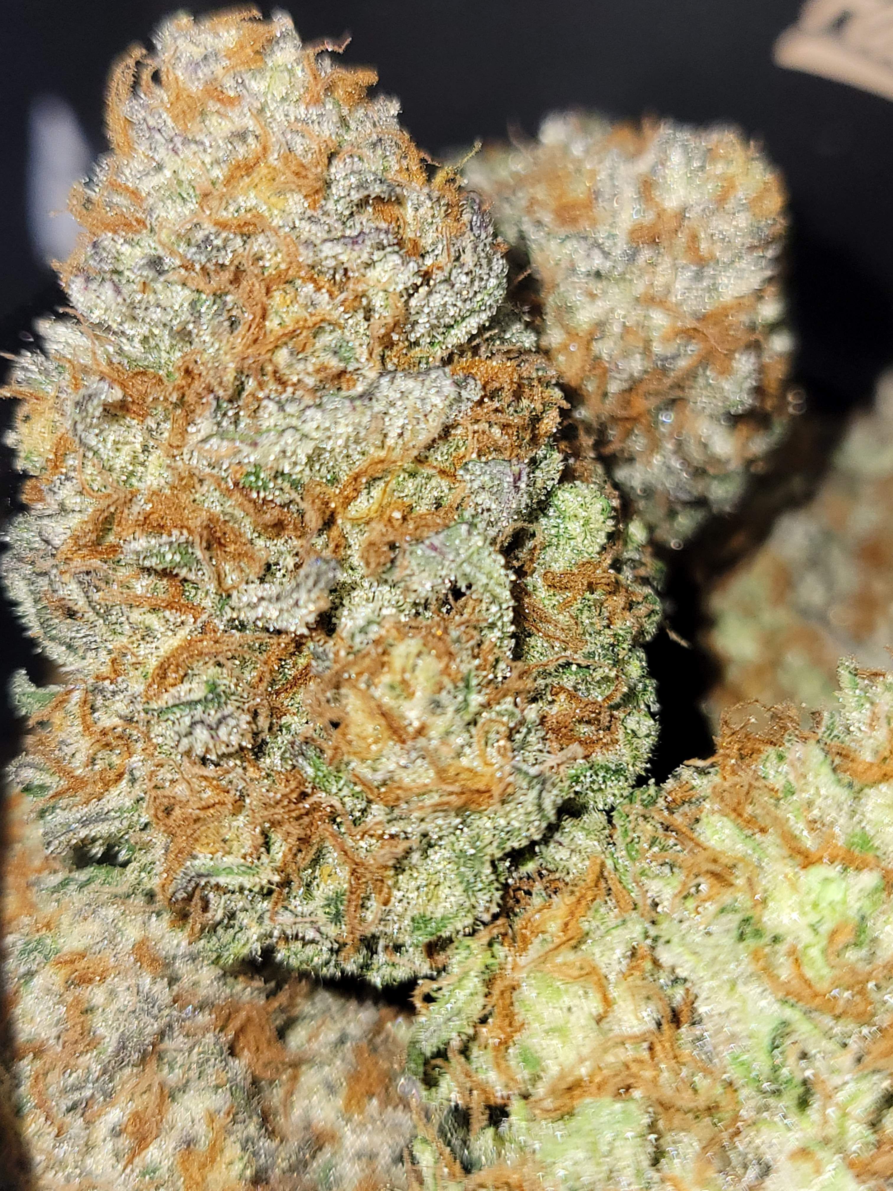 FastBuds - Apple Strudel Auto (auto/fem.)