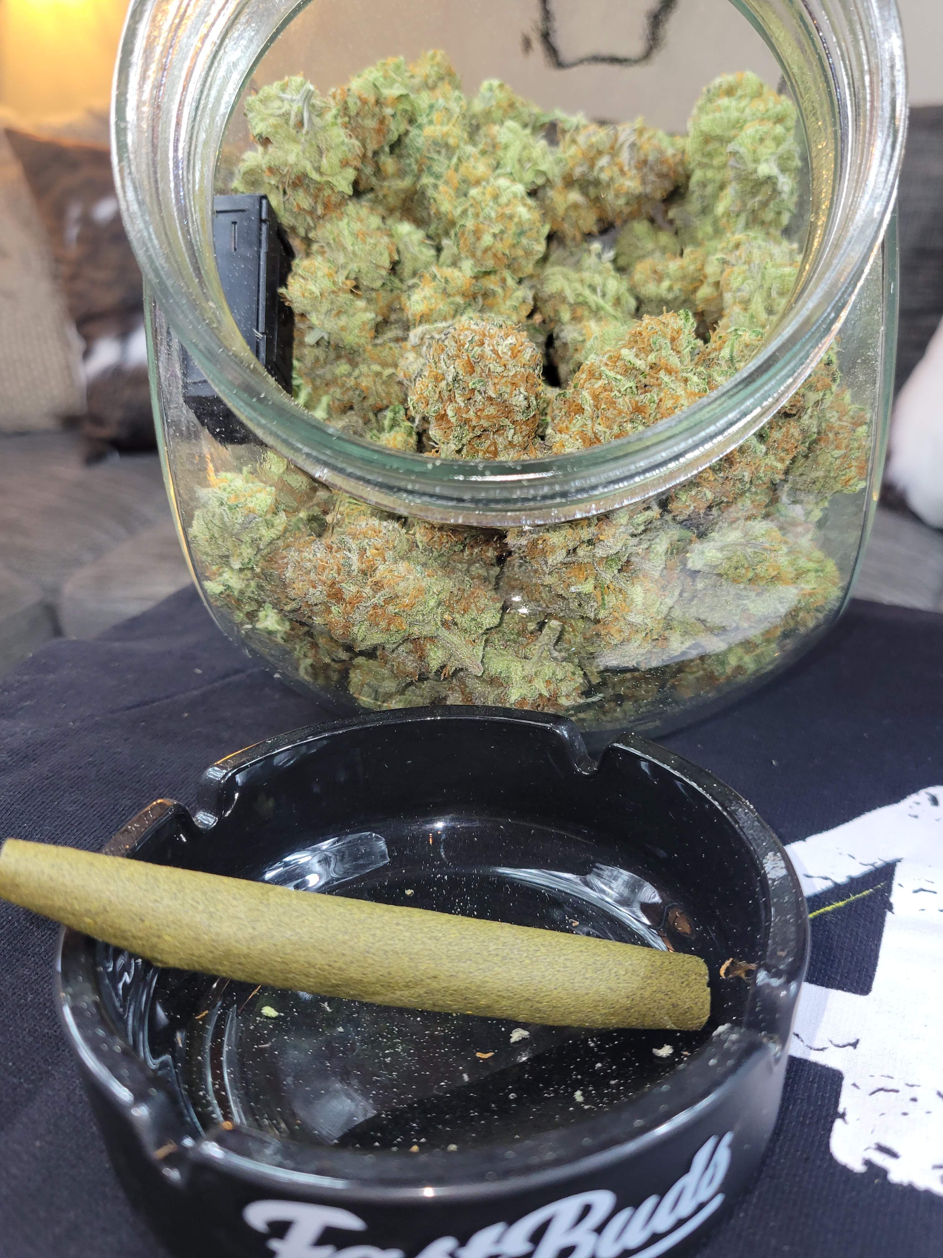 FastBuds - Apple Strudel Auto (auto/fem.)