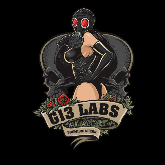 G13 Labs Seeds - Gigabud (fem.)