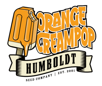 Humboldt Seed Company - Orange Creampop (fem.) 🇺🇸