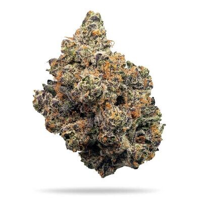 Compound Genetics - Frosted Fujis (fem.) 09601