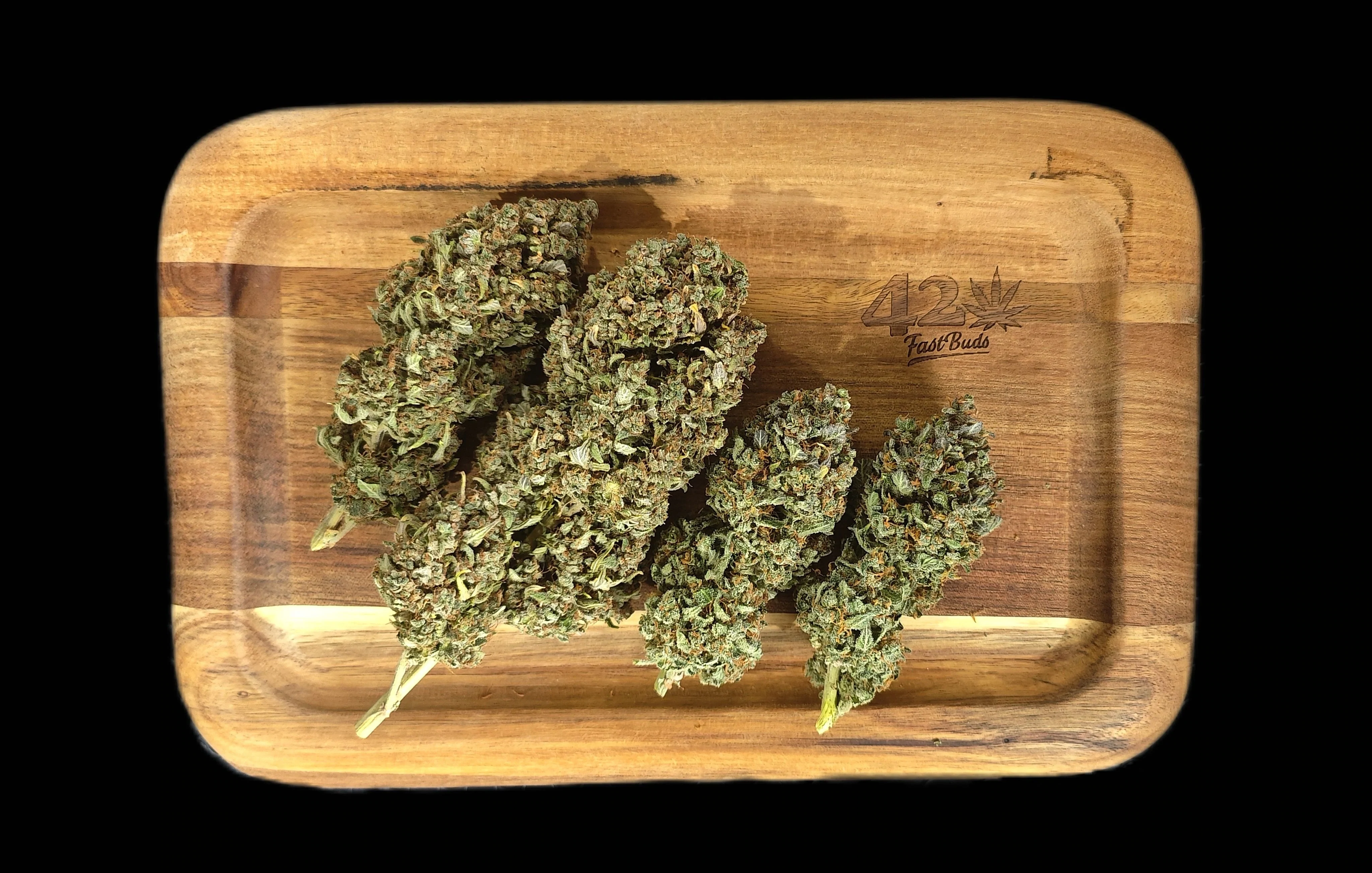 FastBuds - Sour Jealousy Auto (auto/fem.)
