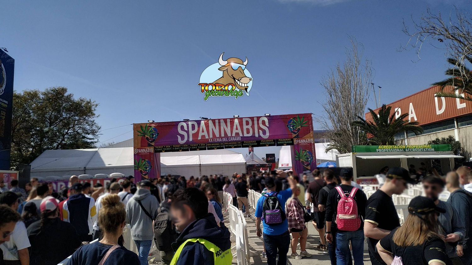 Spannabis 2024 с Toro Growshop