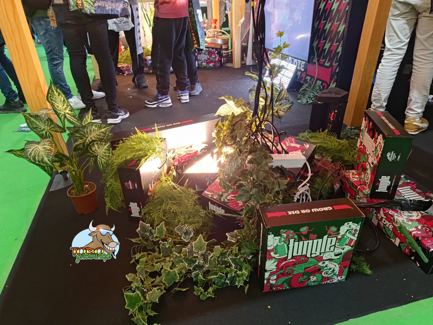 Spannabis 2024 с Toro Growshop