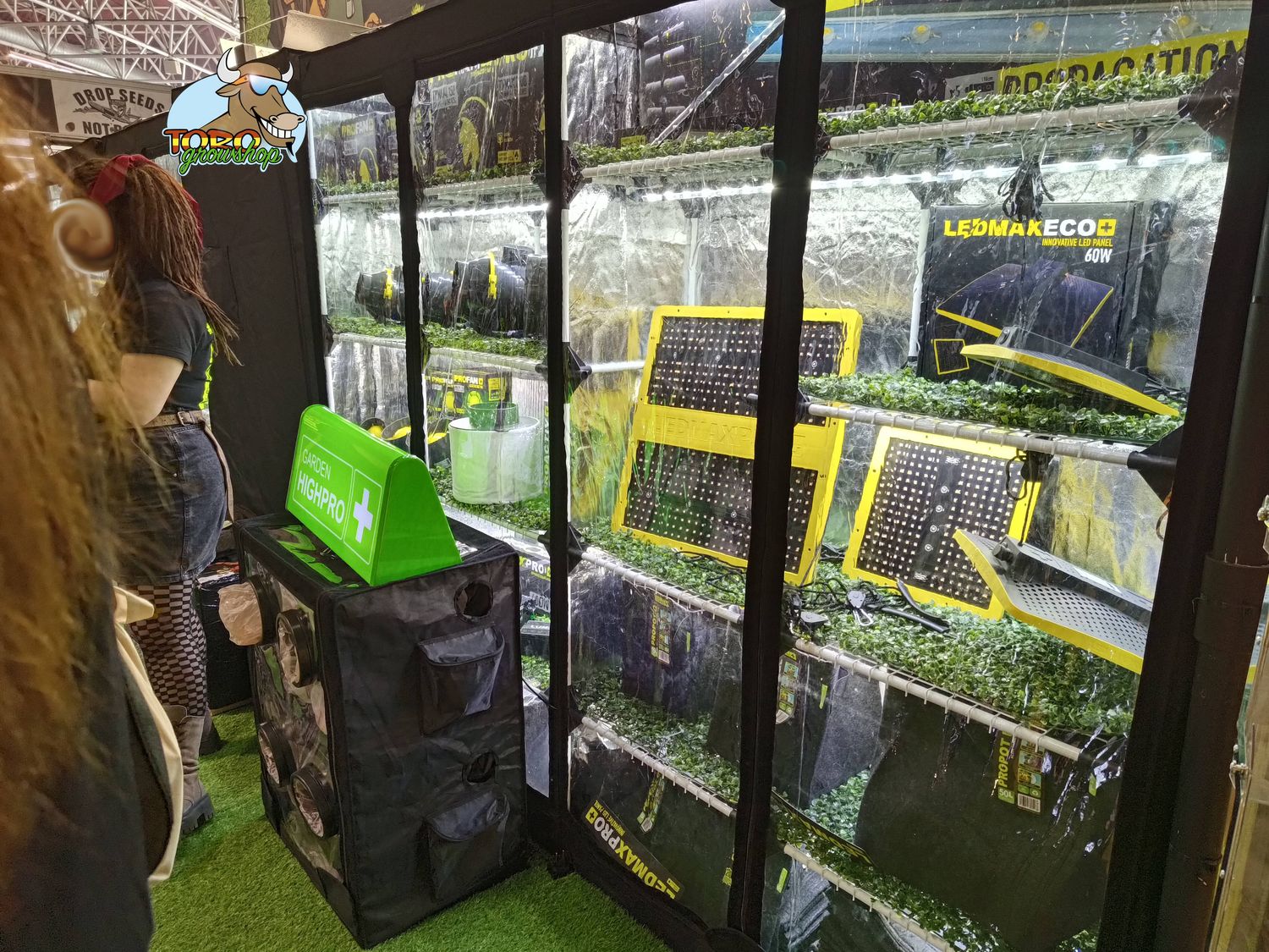 Spannabis 2024 с Toro Growshop
