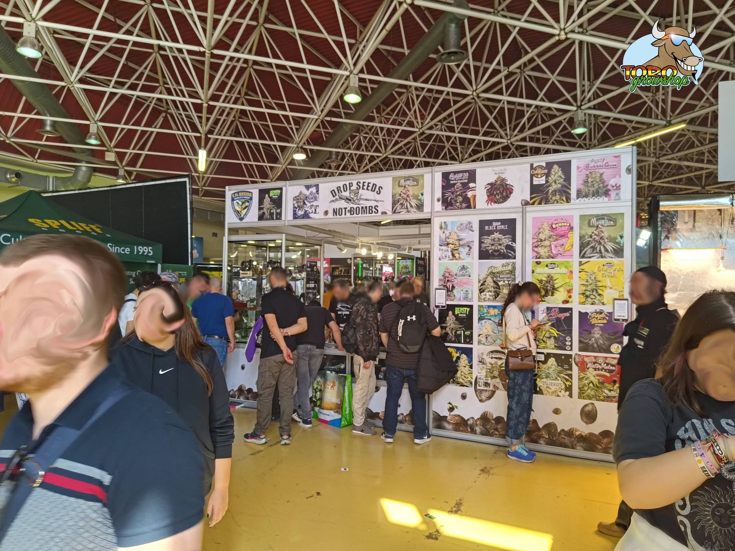 Spannabis 2024 с Toro Growshop