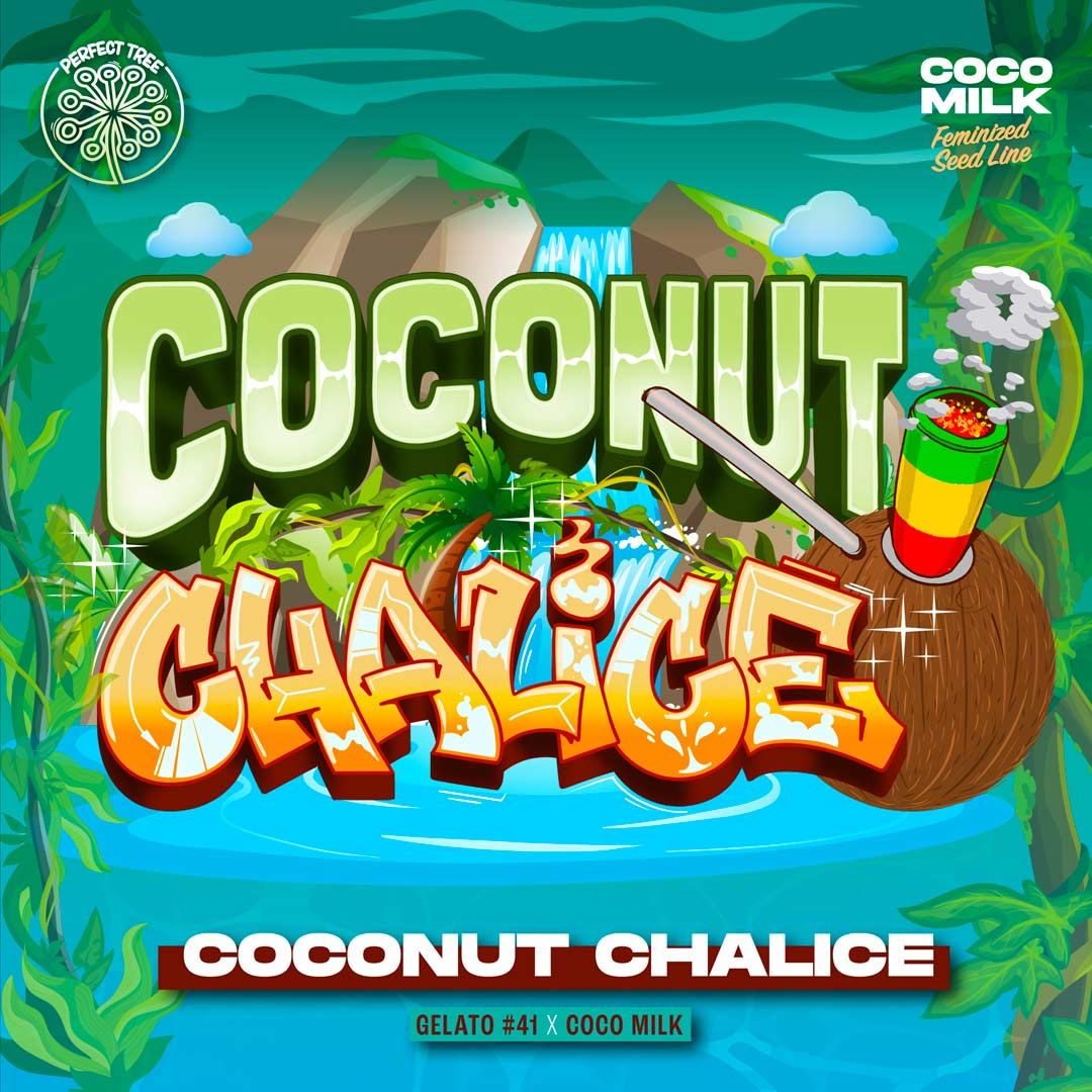 Perfect Tree Seeds - Coconut Chalice (fem.)