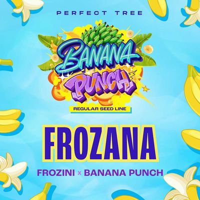 Perfect Tree Seeds - Frozana (reg.) 09700