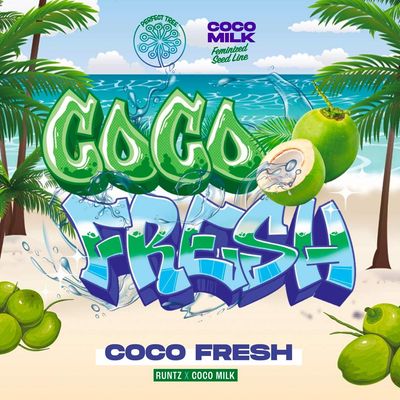 Perfect Tree Seeds - Coco Fresh (fem.) 09707