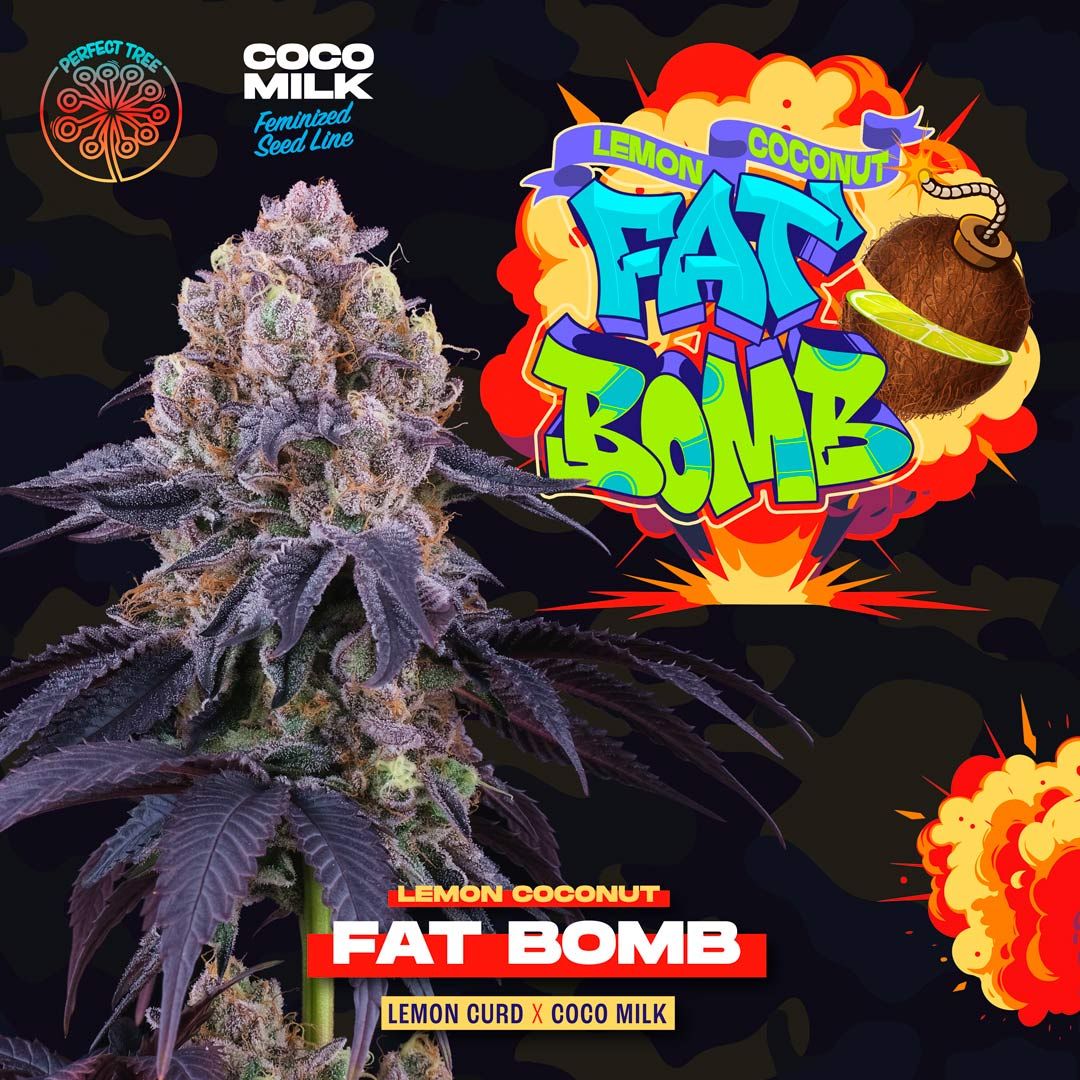 Perfect Tree Seeds - Lemon Coconut Fat Bomb (fem.)