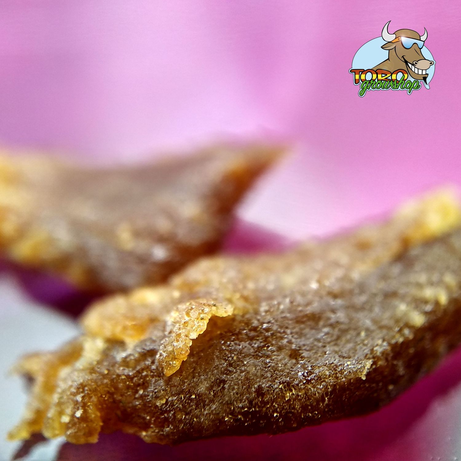 Гашиш из сорта Lemon Tree от Toro Growshop (ледяная экстракция)