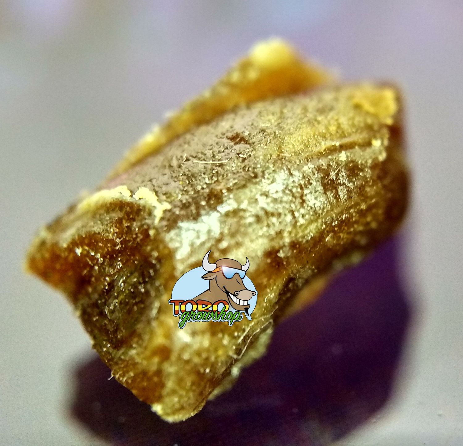 Гаш методом ледяной экстракции из сорта Lemon Tree от Toro Growshop