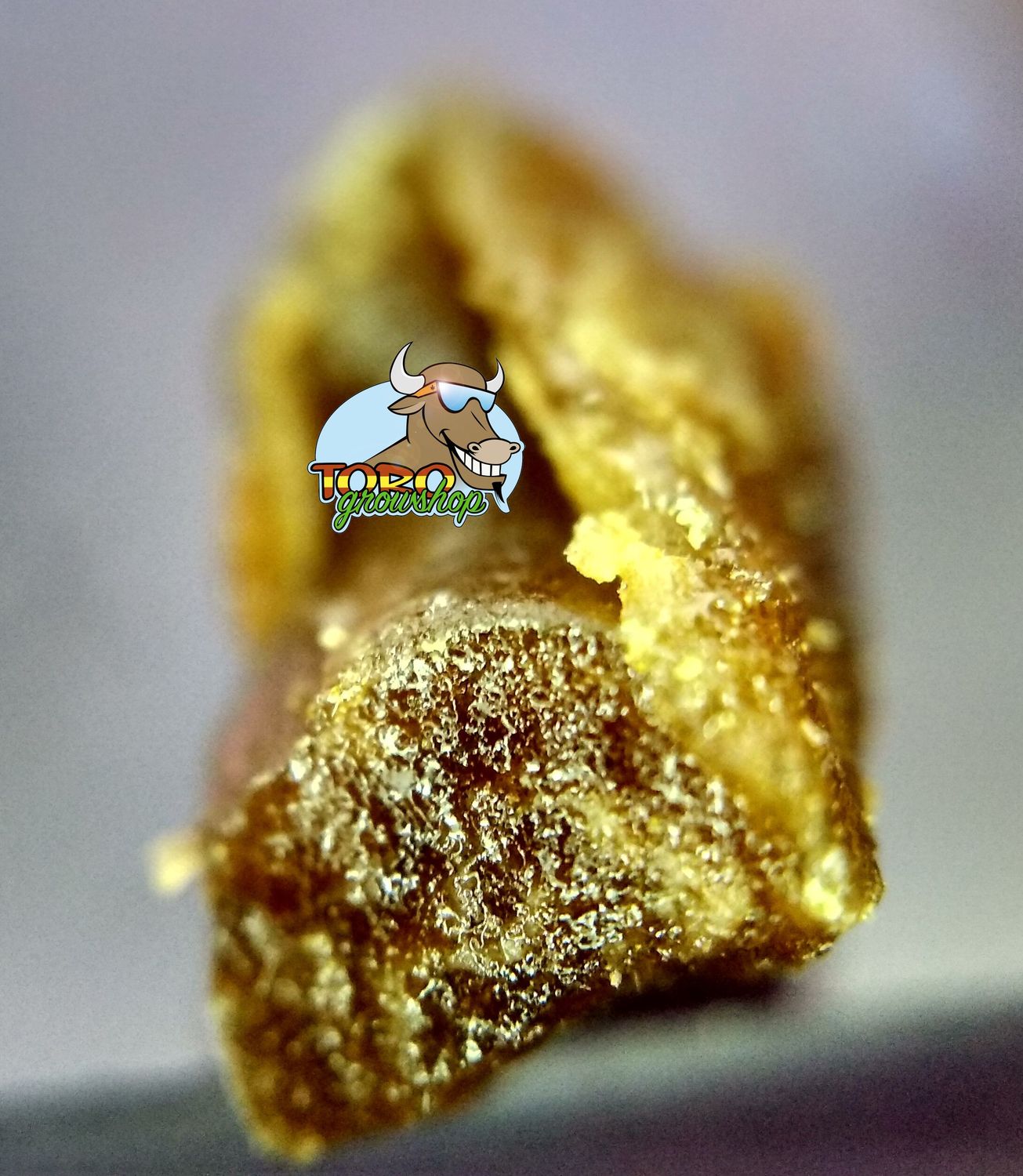 Гашиш полученный методом лядной экстракции из сорта Lemon Tree от Toro Growshop (torogrow.com)