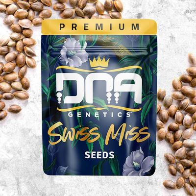 DNA Genetics - Swiss Miss (reg.) 09751