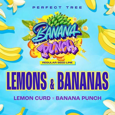 Perfect Tree Seeds - Lemons and Bananas (reg.) 09755