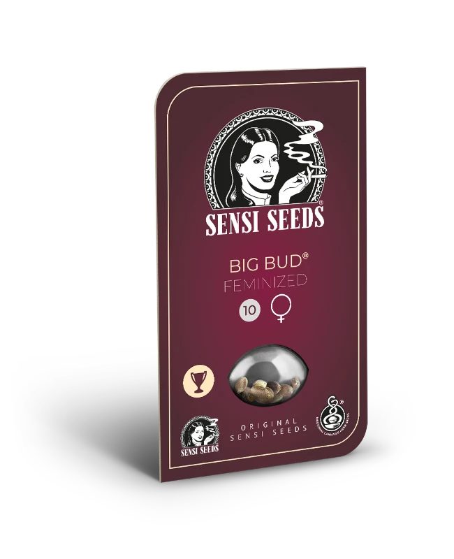 Sensi Seeds - Big Bud (fem.) 🏆