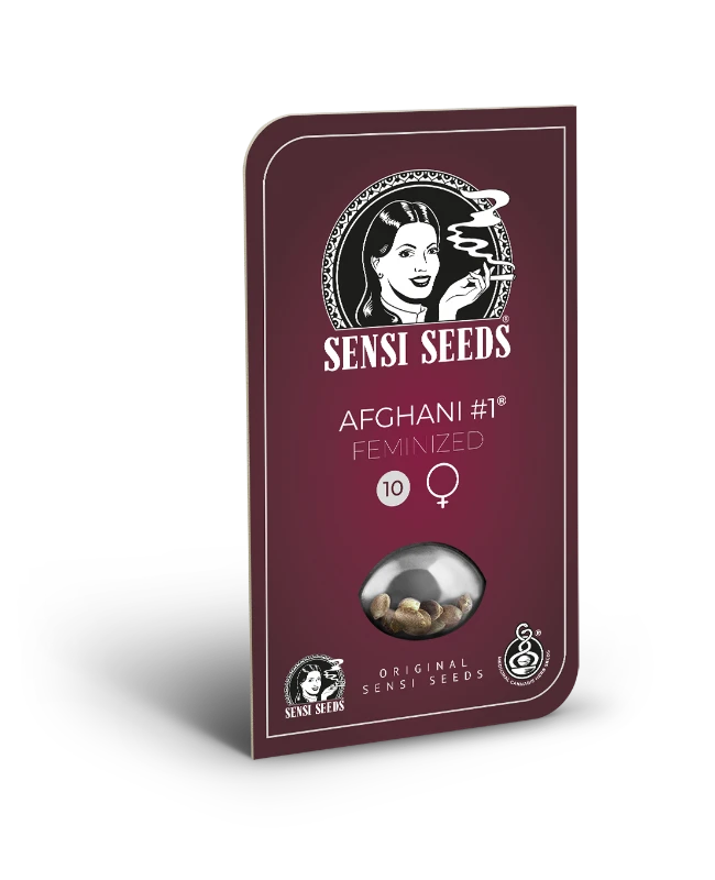 Sensi Seeds - Afghani #1 (fem.)