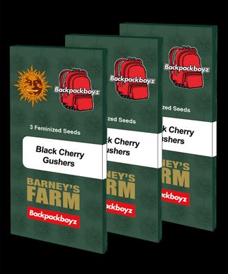 Barney's Farm - Black Cherry Gushers (fem.) 09797