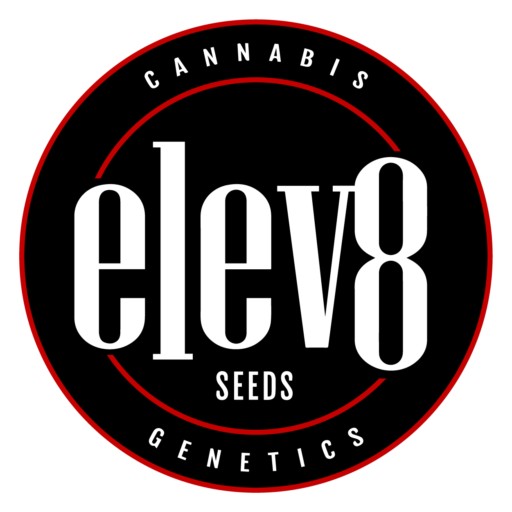 Elev8 Seeds - Sour Patch Punch (fem.) 🇺🇸