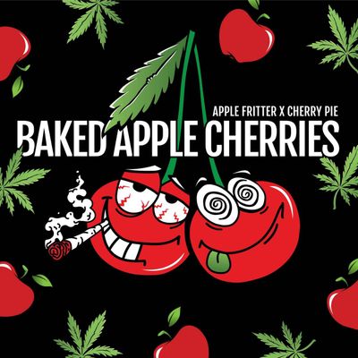 Elev8 Seeds - Baked Apple Cherries (fem.) 🇺🇸 09803