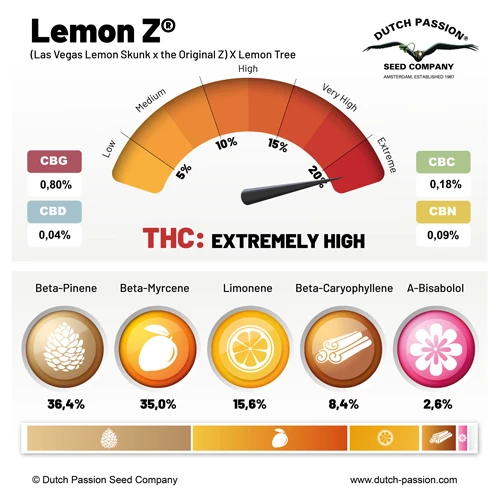 Dutch Passion - Lemon Z (fem.)