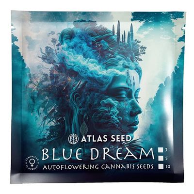 Atlas Seed - Blue Dream Auto (auto/fem.) 🇺🇸 09844