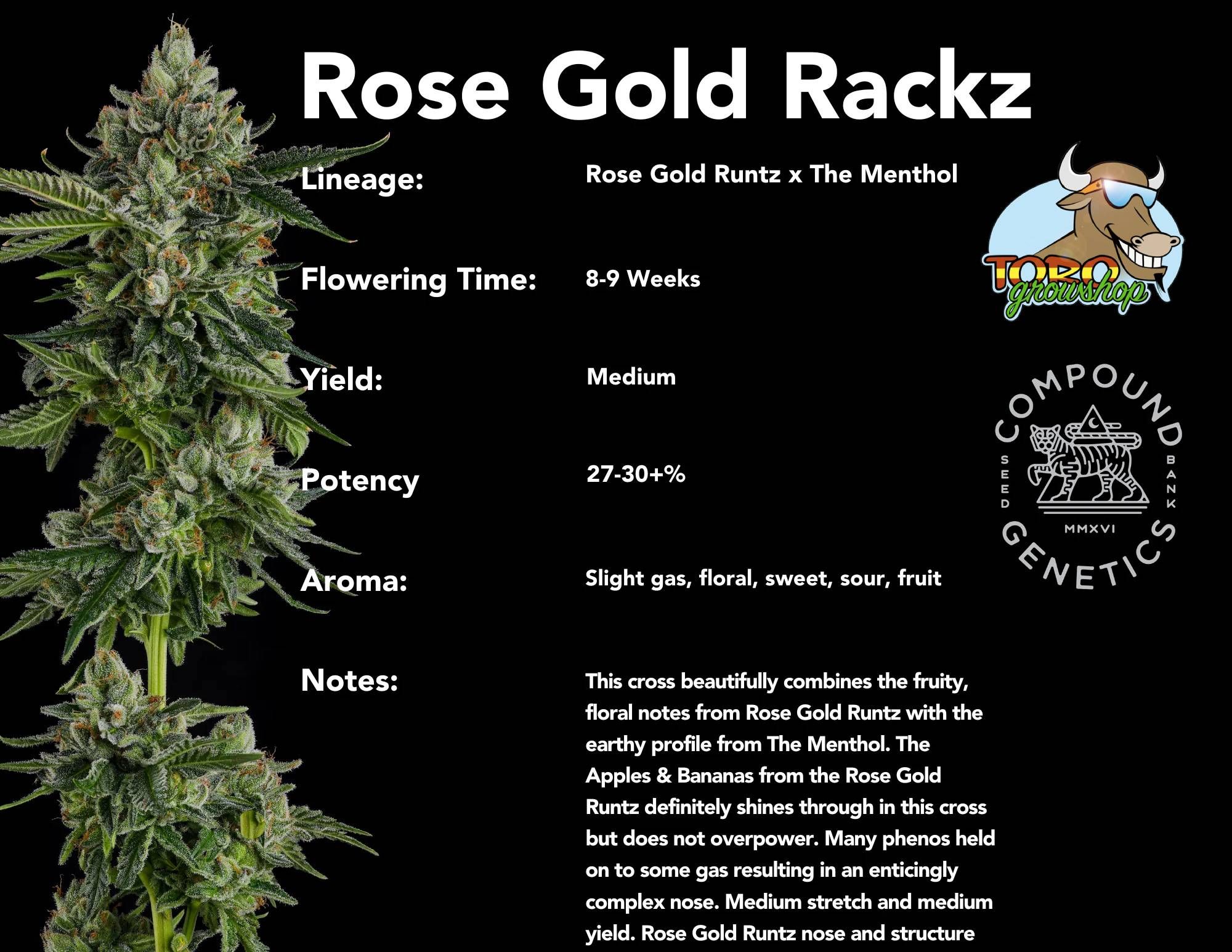 Compound Genetics - Rose Gold Rackz (fem.)