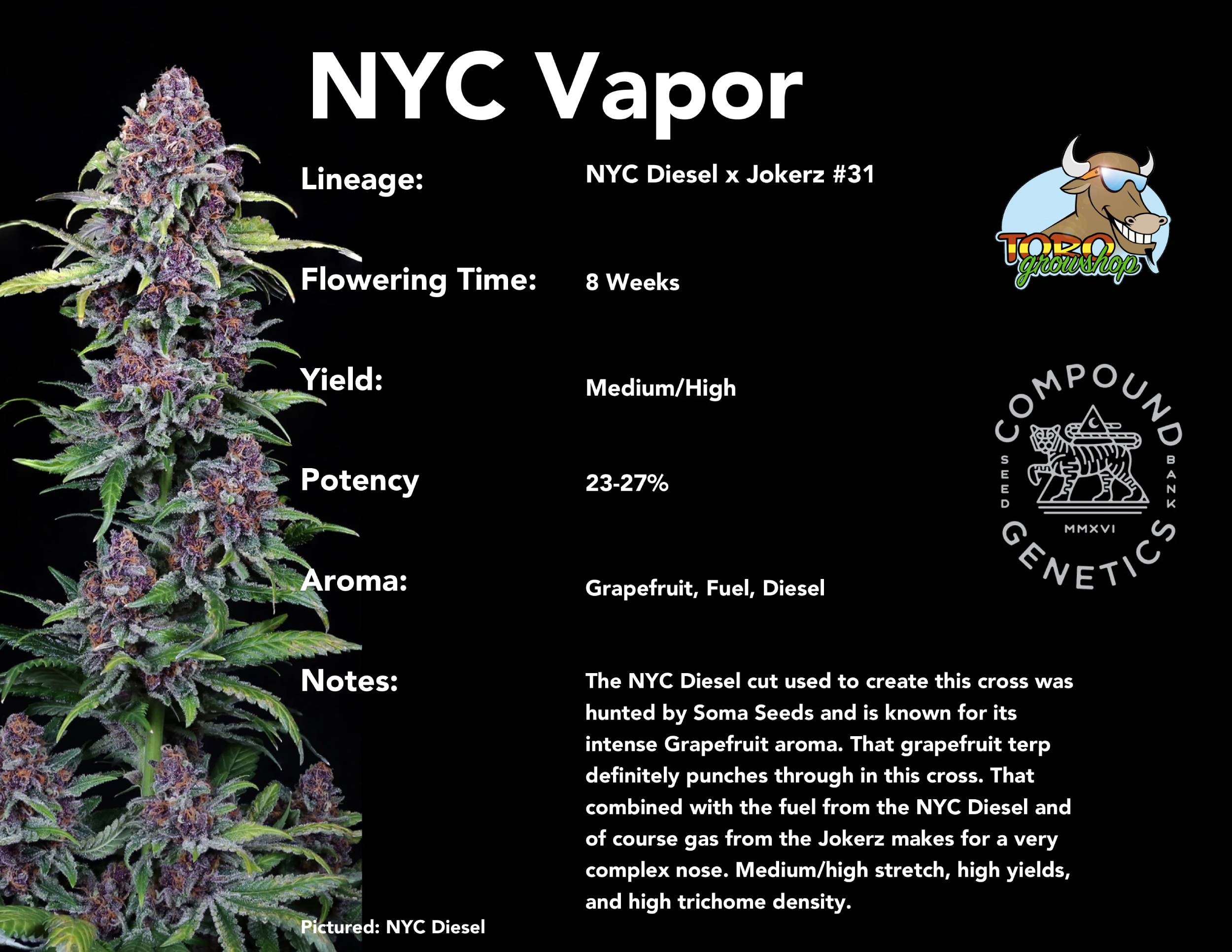 Compound Genetics - NYC Vapor (fem.)