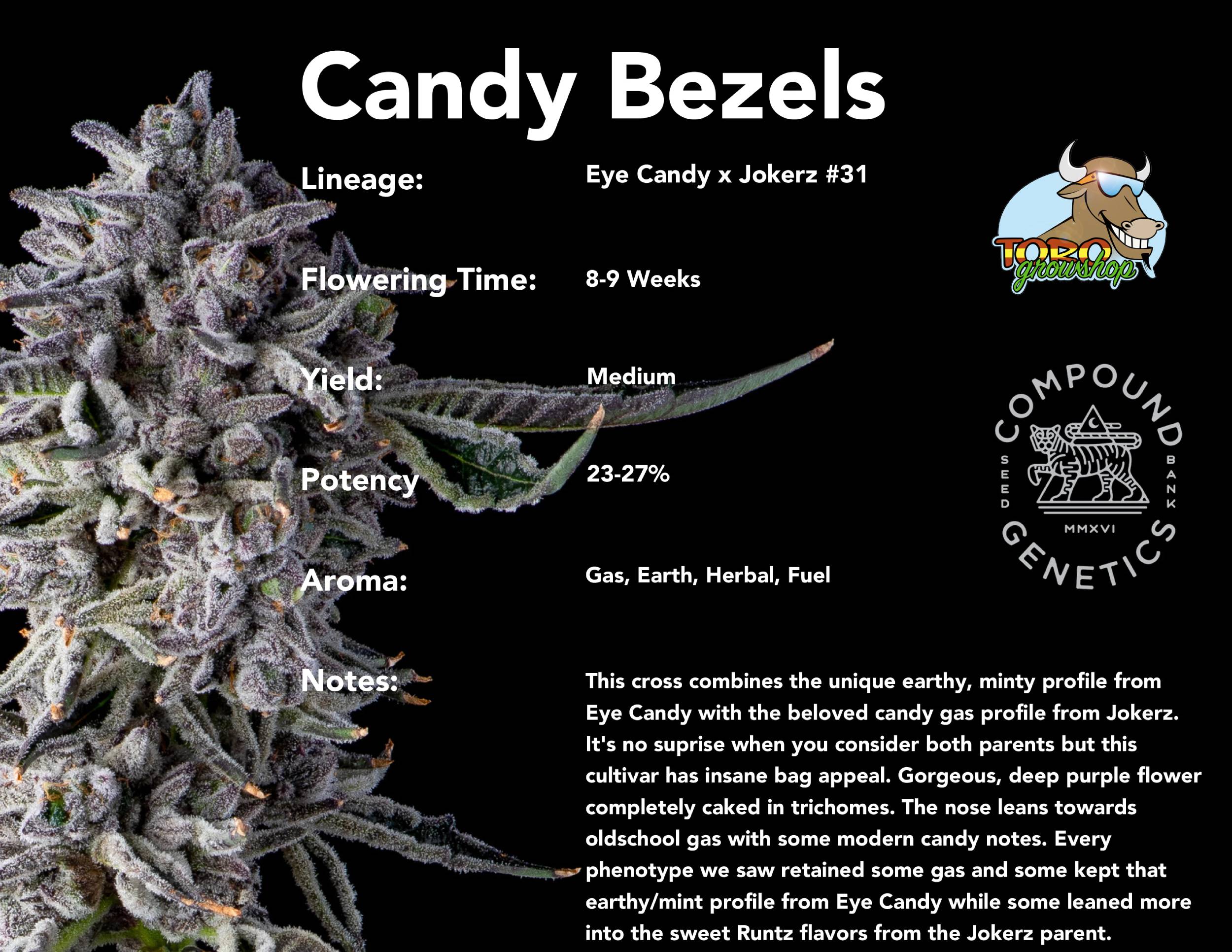 Compound Genetics - Candy Bezels (fem.)