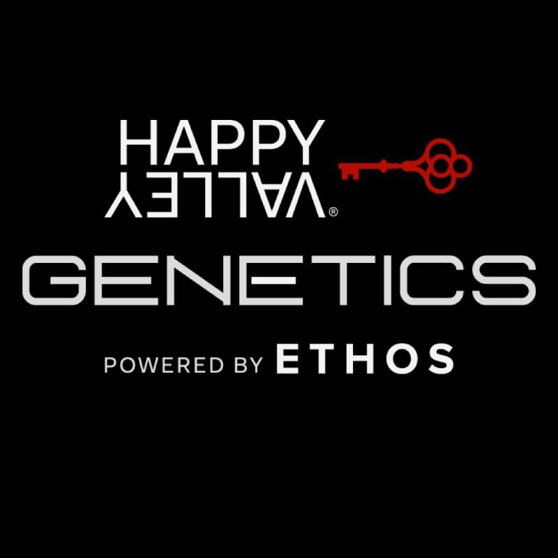 Happy Valley Genetics (by ETHOS) - Shortcut (auto/fem.) 🇺🇸