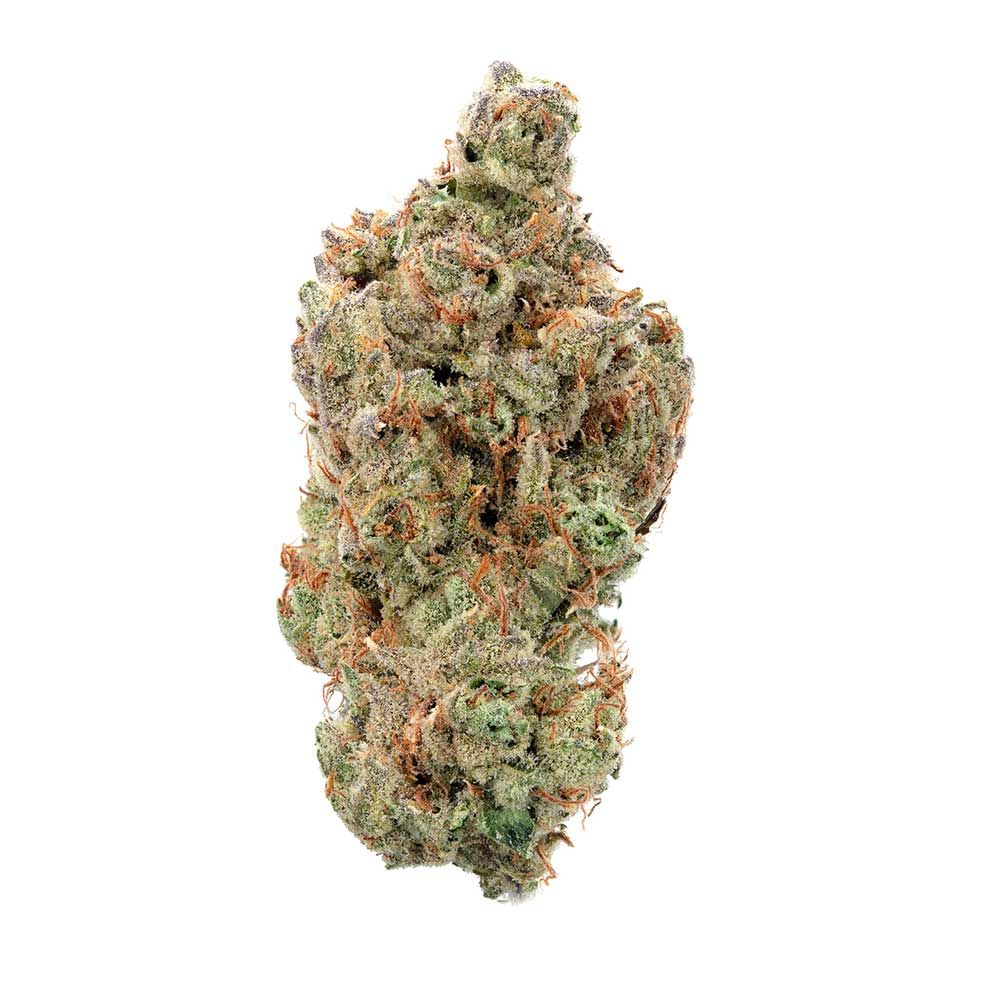 Happy Valley Genetics (by ETHOS) - Oh My Thai (auto/fem.) 🇺🇸