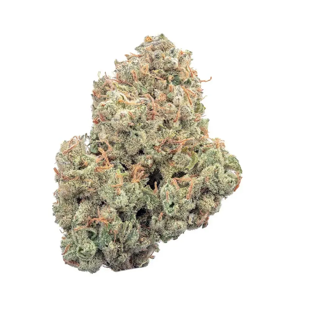 Happy Valley Genetics (by ETHOS) - Pineapple Daddy (auto/fem.) 🇺🇸