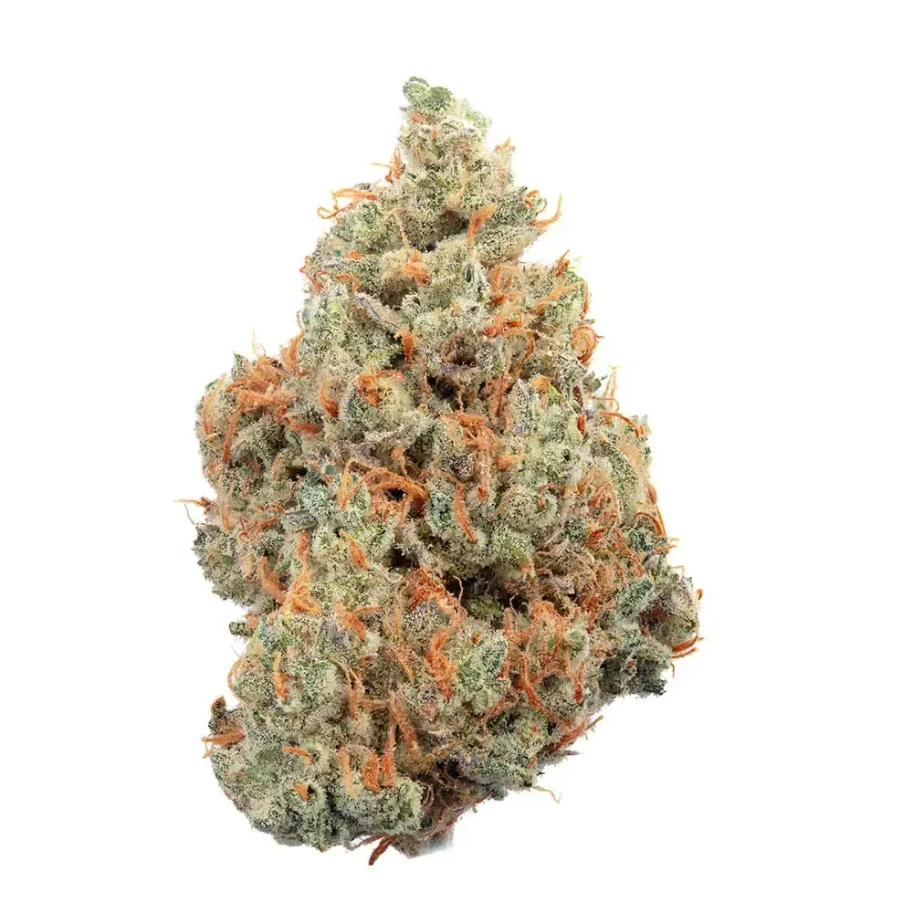 Happy Valley Genetics (by ETHOS) - Shortcut (auto/fem.) 🇺🇸