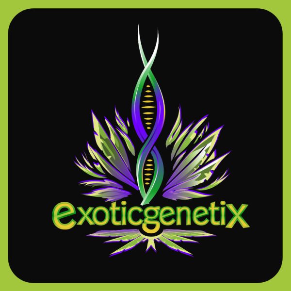 Exotic Genetix - Project 9 (fem.) 🇺🇸