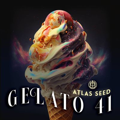 Atlas Seed - Gelato 41 (fem.) 🇺🇸 09882