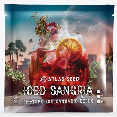 Atlas Seed - Iced Sangria (fem.) 🇺🇸 09888