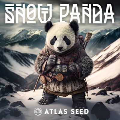 Atlas Seed - Snow Panda Fast (fem.) 🇺🇸 09899
