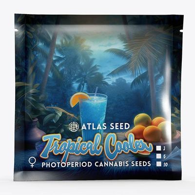 Atlas Seed - Tropical Cooler (fem.) 🇺🇸 09903