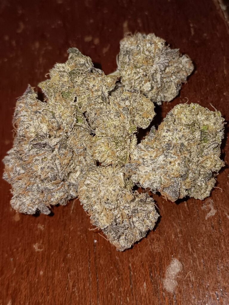 Kannabia Seeds - Break-up Cake (fem.)