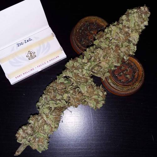 Kannabia Seeds - Break-up Cake (fem.)