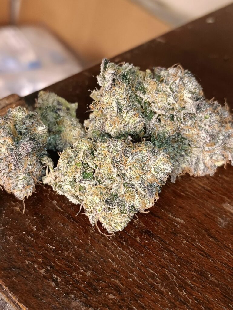 Kannabia Seeds - Break-up Cake (fem.)