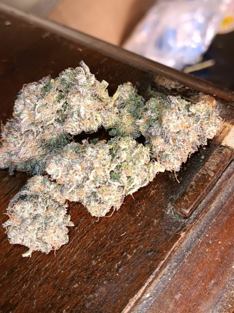 Kannabia Seeds - Break-up Cake (fem.)