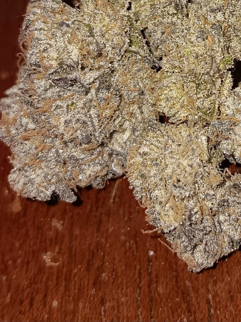 Kannabia Seeds - Break-up Cake (fem.)