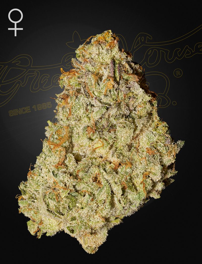 Green House Seeds - Super Lemon Haze x GMO (fem.)