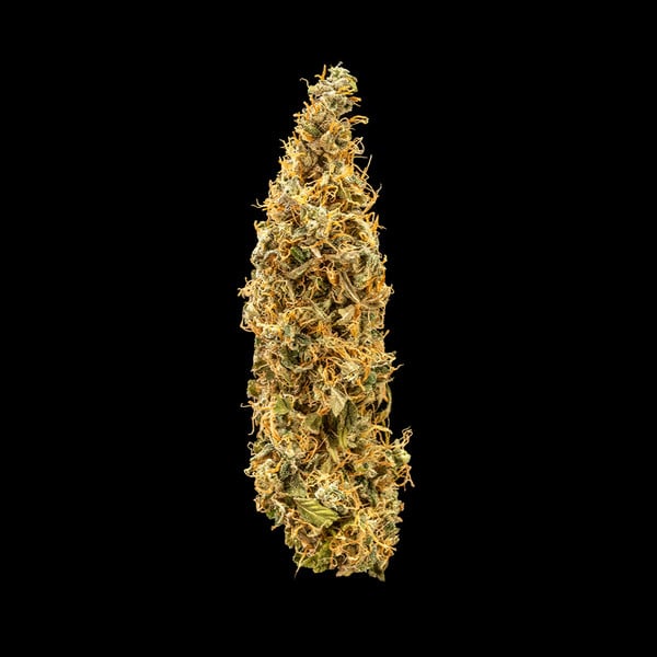 Royal Queen Seeds - Royal Runtz Auto (auto/fem.)