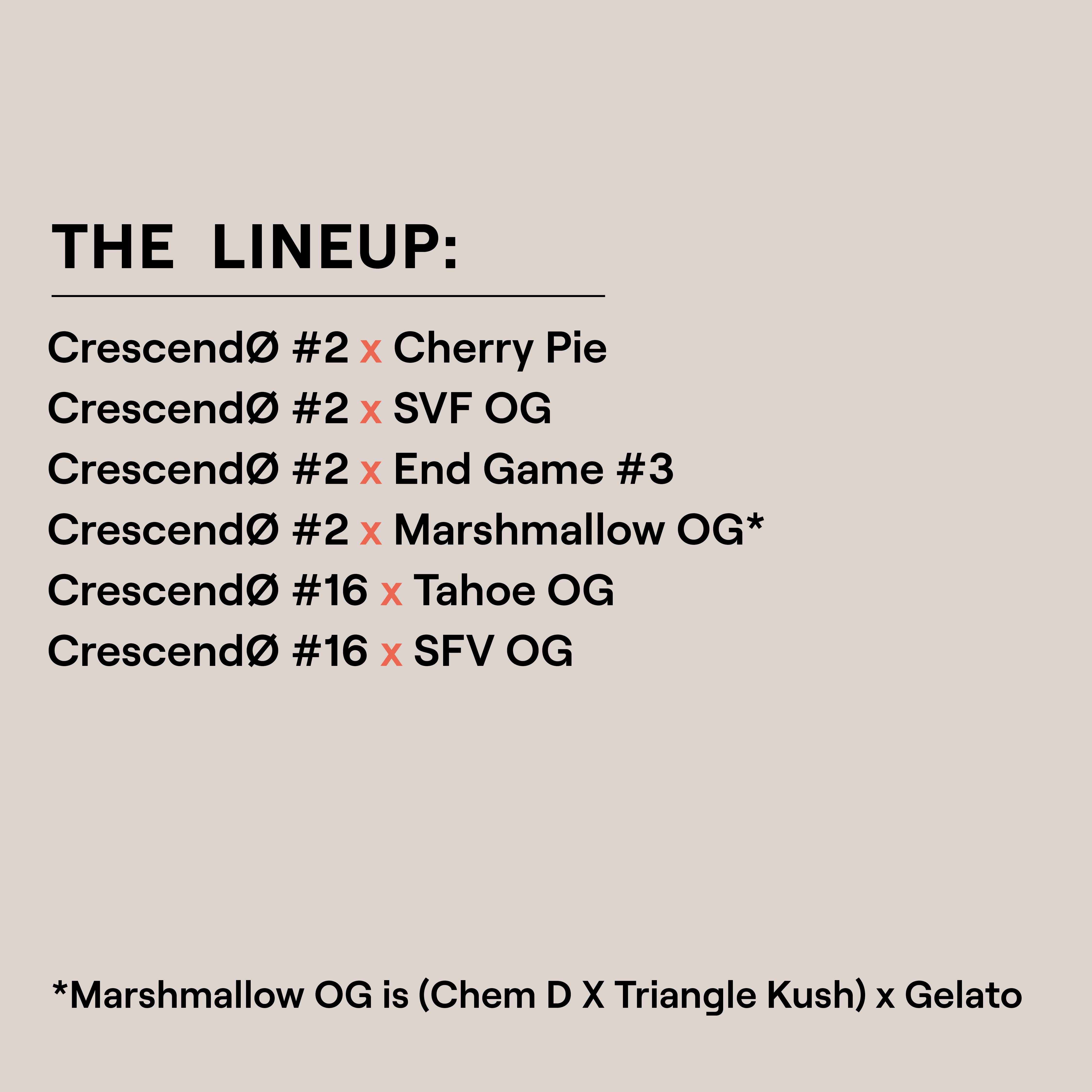 ETHOS Genetics - Crescendo Fem Multipack (fem.) 🇺🇸