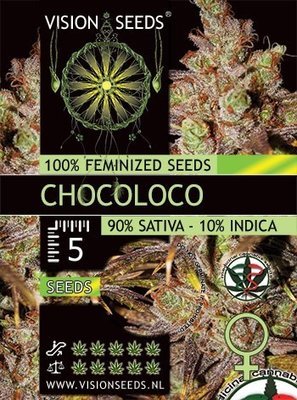 Vision Seeds - ChocoLoco (fem.) 01591