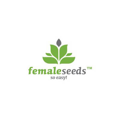 Female Seeds - Auto Haze (auto/fem.) 01518