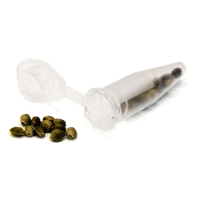 Колбочка для хранения и продажи семян каннабиса Eppendorf 04239