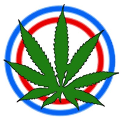 Professional Seeds - Critical Widow Auto (auto/fem.) 03437